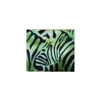 Pa?o Decorativo Zebras( Verdes 210 x 140 )